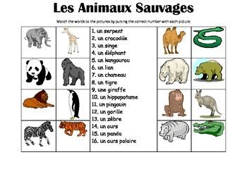 what does sauvage mean in french